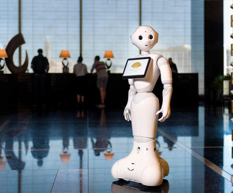 Mandarin robot