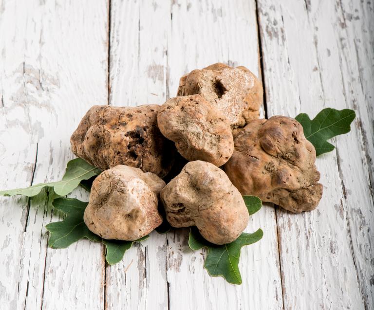 Truffe blanche Vaneau