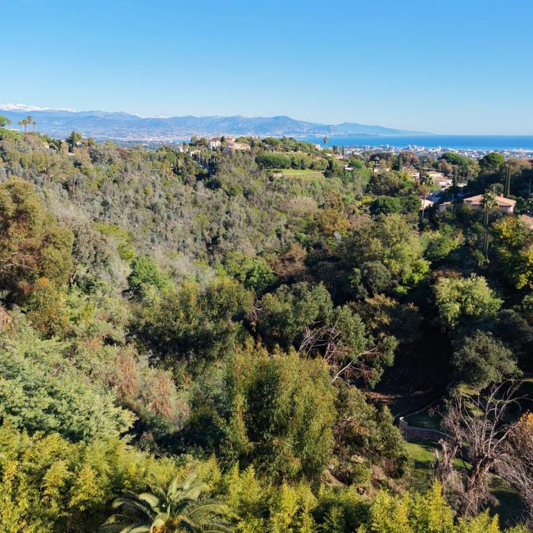 OFF MARKET A VENDRE - HAUTEURS DE CANNES – 15M CROISETTE