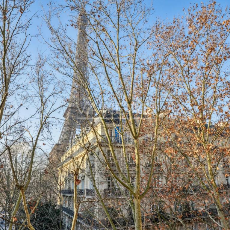 Gros Caillou - Vue Tour Eiffel