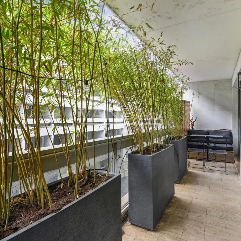 PARIS VIIe - Rue Clerc - Etage élevé avec balcon terrasse.