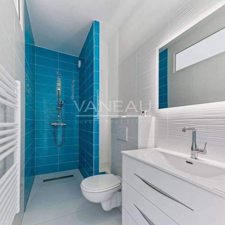 Vanves/Michelet - Appartement cinq pièces,  dernier étage, terra