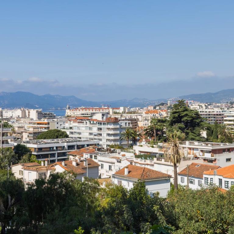 CANNES BASSE CALIFORNIE APPARTEMENT A VENDRE