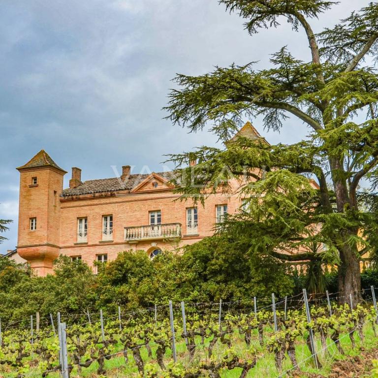 Lisle-sur-Tarn- Domaine Viticole d’exception au cœur de la Tosca