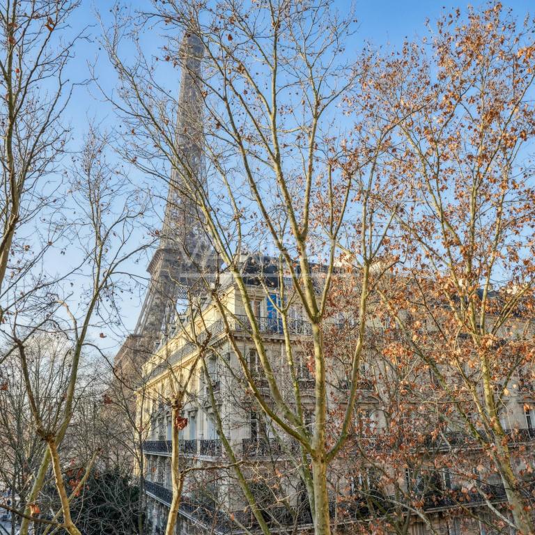 Gros Caillou - Vue Tour Eiffel