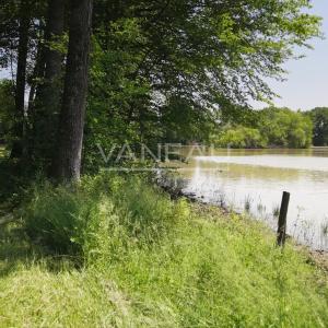 Domaine de 20 hectares - 1.30h de paris - perche sud