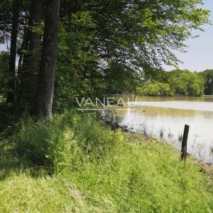 Domaine de 20 hectares - 1.30h de paris - perche sud