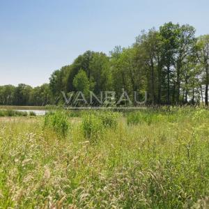 Domaine de 20 hectares - 1.30h de paris - perche sud