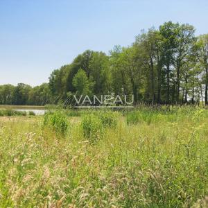 Domaine de 20 hectares - 1.30h de paris - perche sud