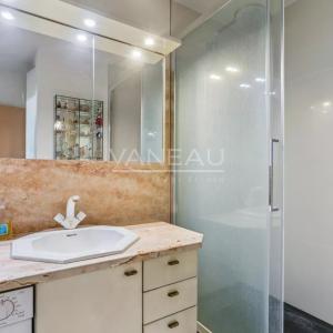 Paris XVe 4 pièces vue Seine - Mirabeau /Javel.