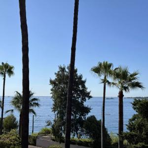 Cannes Basse Californie - Appartement 4 pièces vue mer à vendre