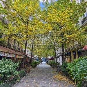 ****Coeur du Marais***