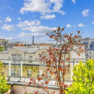 Neuilly- Full Pasteur -Terrasse.