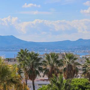 CANNES BASSE CALIFORNIE APPARTEMENT A VENDRE