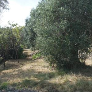 Châteauneuf - magnifique terrain constructible à vendre