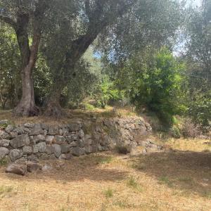 Châteauneuf - magnifique terrain constructible à vendre