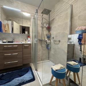 CANNES montrose Appartement 3 pièces