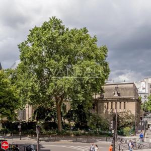 Paris V -  rue Monge