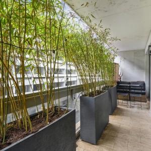 PARIS VIIe - Rue Clerc - Etage élevé avec balcon terrasse.