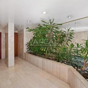 Paris 15ème Convention - 1/2 pièces clés en main meublé