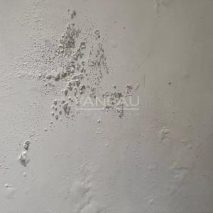 Exclusivité - Appartement - Paris 5 - Val de Grace - lumière / p