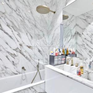 PARIS VIIIe - Faubourg du Roule