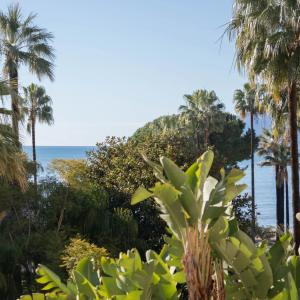 Appartement 3 pièces entièrement rénové à vendre Croisette vue m