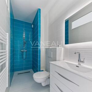 Vanves/Michelet - Appartement cinq pièces,  dernier étage, terra