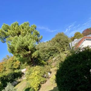 Sèvres - Quartier Brancas, rive droite - Maison meulière classée