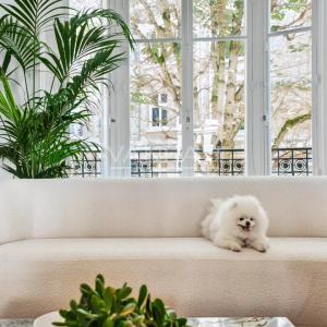 Paris XVIe-Trocadéro-Superbe appartement de 7 pièces prêt à vivr