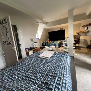 Somptueux Manoir rénové au coeur d' Angers avec piscine