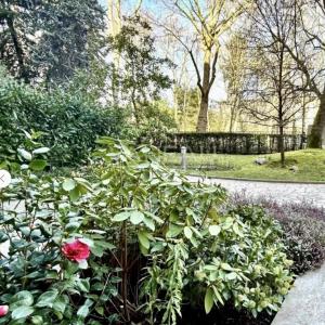 Neuilly- Hôpital américain, Marymount- Appartement rénové avec b
