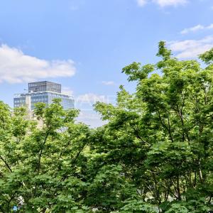 Courbevoie - Quartier des Affaires - Appartement familial avec p