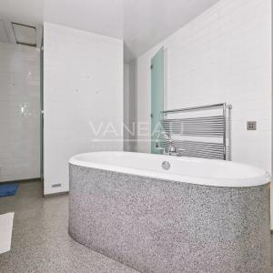 Triangle d'or - Montaigne - Appartement de réception.