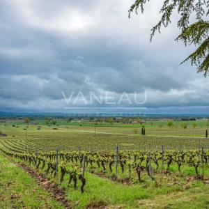 Lisle-sur-Tarn- Domaine Viticole d’exception au cœur de la Tosca