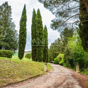 Lisle-sur-Tarn- Domaine Viticole d’exception au cœur de la Tosca