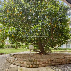 Neuilly – Quartier Mairie – Appartement au calme sur jardin avec