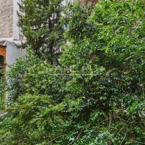 Paris VIIIe- Montaigne - Appartement rénové luxe