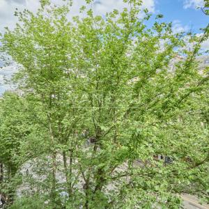 Appartement meublé - Quartier Ternes
