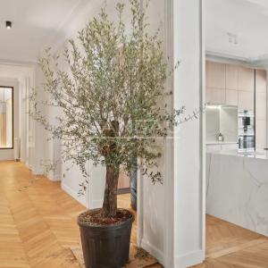 Paris XVIe-Trocadéro-Superbe appartement de 7 pièces prêt à vivre.