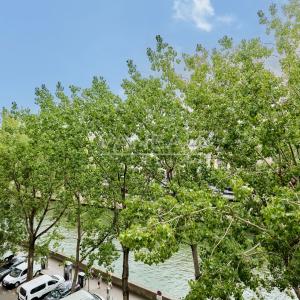 Paris IVe - Ile de la Cité -  Appartement 4 pièces avec vue sur la Seine