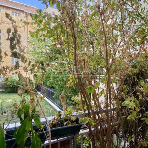 Paris XV - Cambronne : Appartement quatre pièces avec terrasse et balcon
