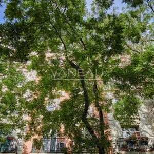 Paris XVe  Javel - Saint Charles Deux pièces Etage élevé  et balcons