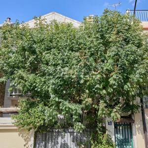 Maison familiale avec terrasse au pied de la Butte aux Cailles, Paris 13ème