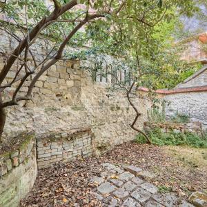 Paris XVe : Santos Dumont - Maison avec jardin