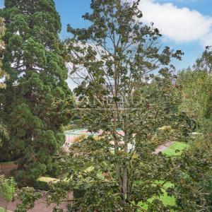 Résidence de standing - Appartement 4 pièces avec terrasse, piscine et tennis.