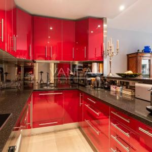 Barbet de Jouy / Sur Jardin