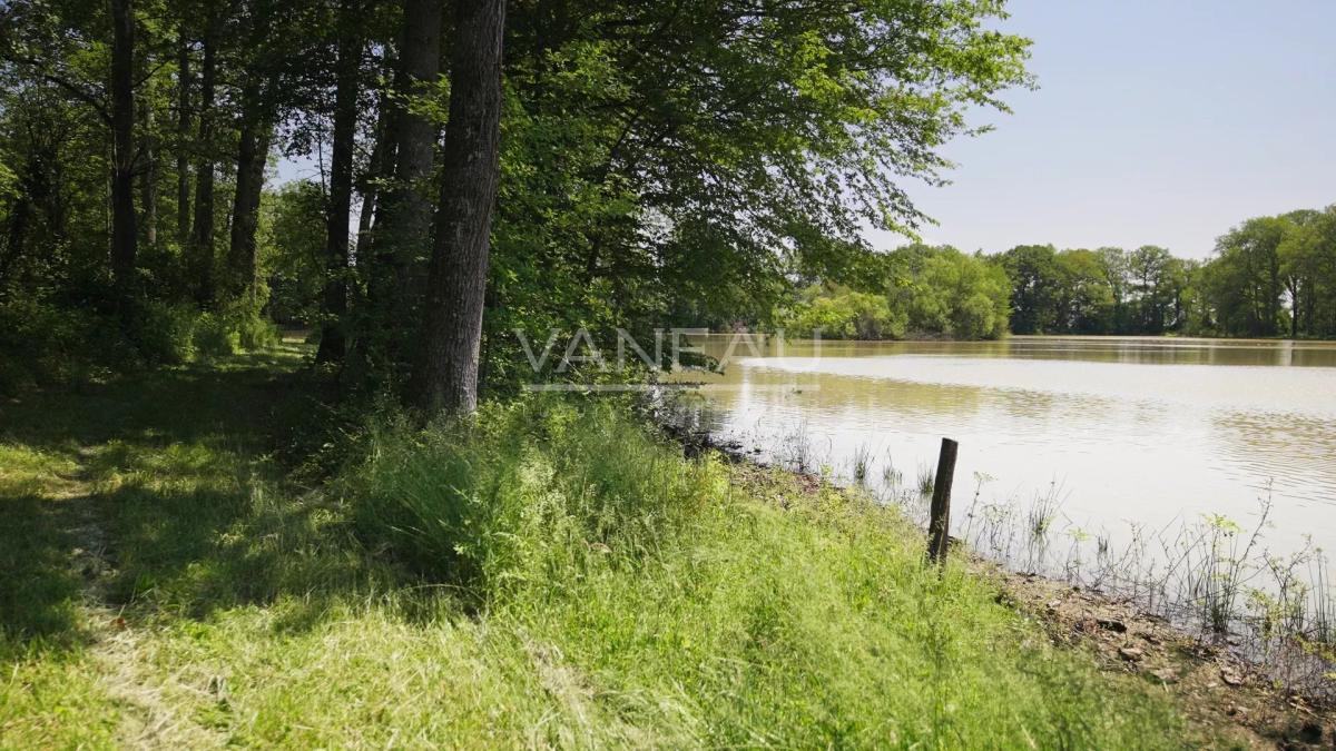 Domaine de 20 hectares - 1.30h de paris - perche sud