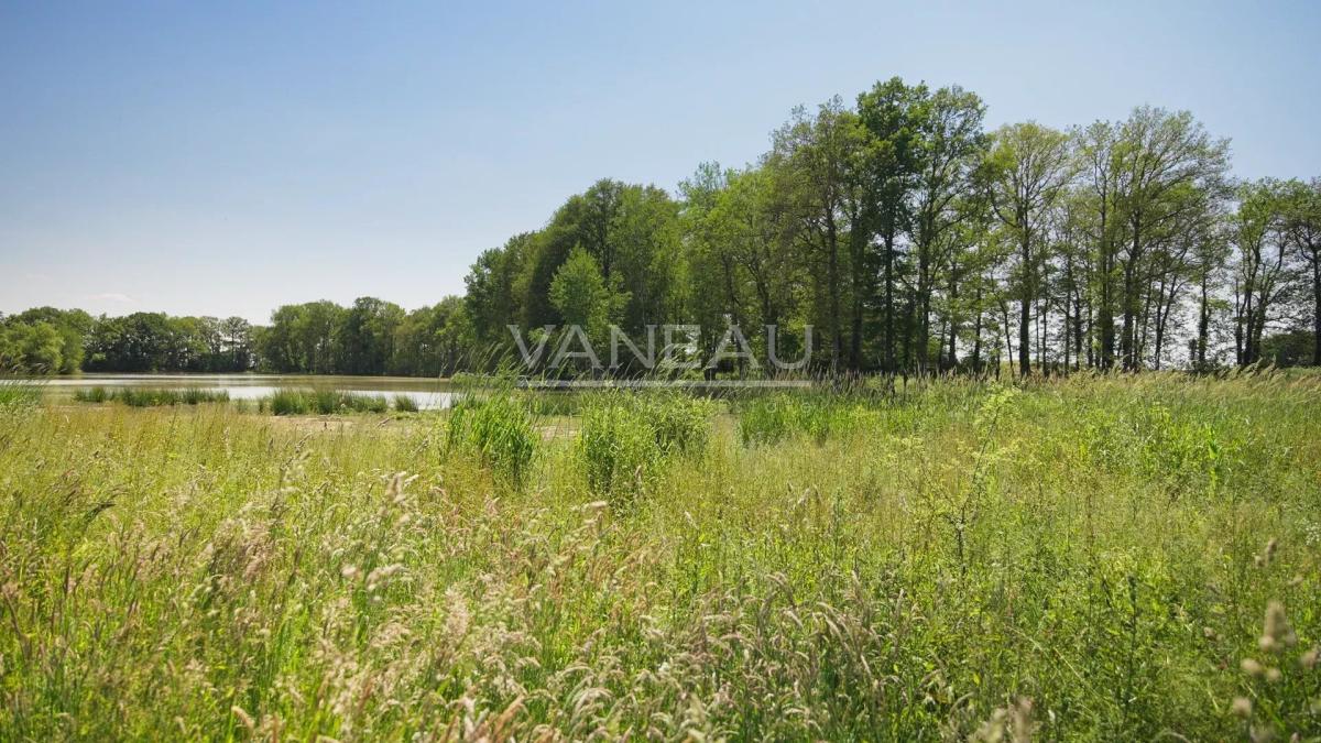 Domaine de 20 hectares - 1.30h de paris - perche sud