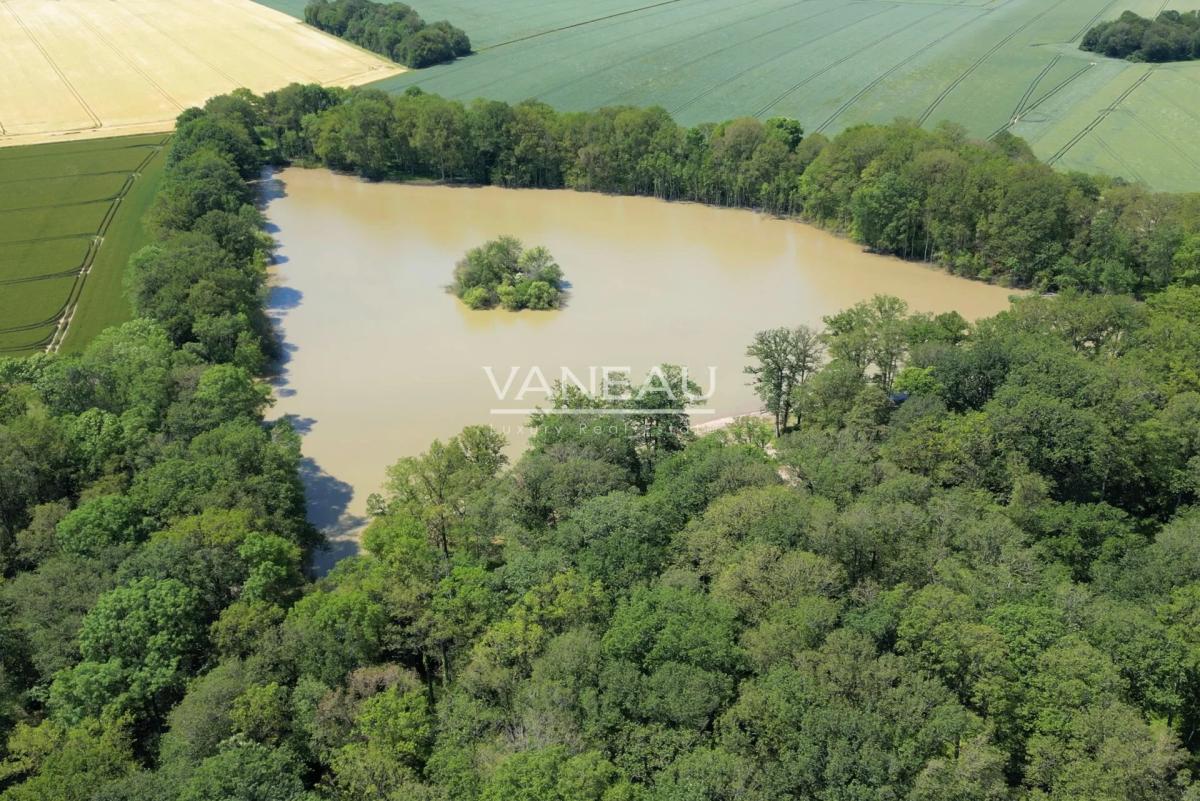 Domaine de 20 hectares - 1.30h de paris - perche sud